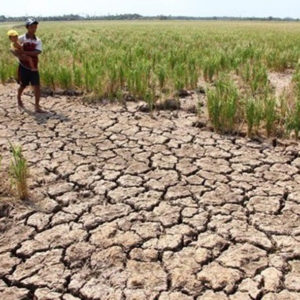 Saltwater intrusion in Mekong Delta comes early because of Chinese dams