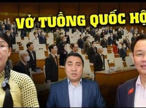 Những ý kiến của các ông bà nghị chỉ làm trò cười cho dân thì có Quốc hội để làm gì